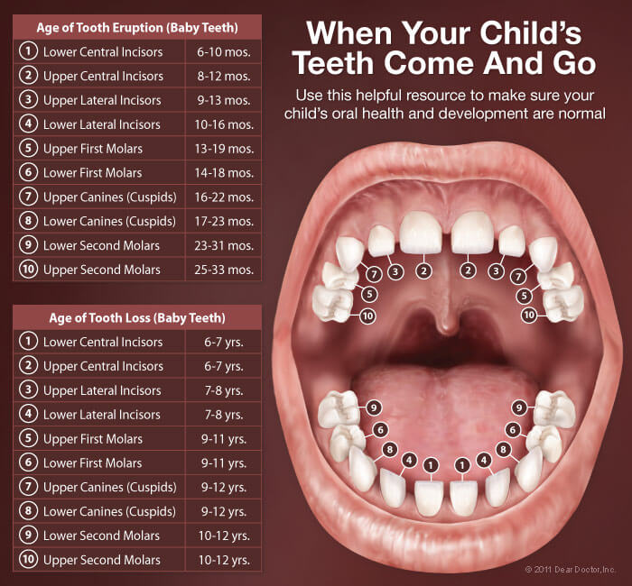 Fixing Cracked Teeth in Ottawa and Streator, IL